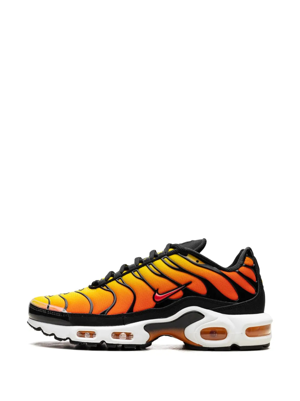 TN Tiger