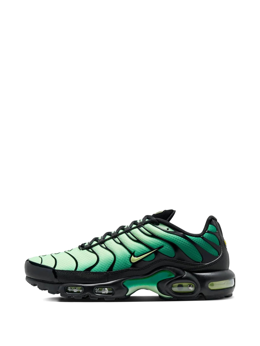 TN Green