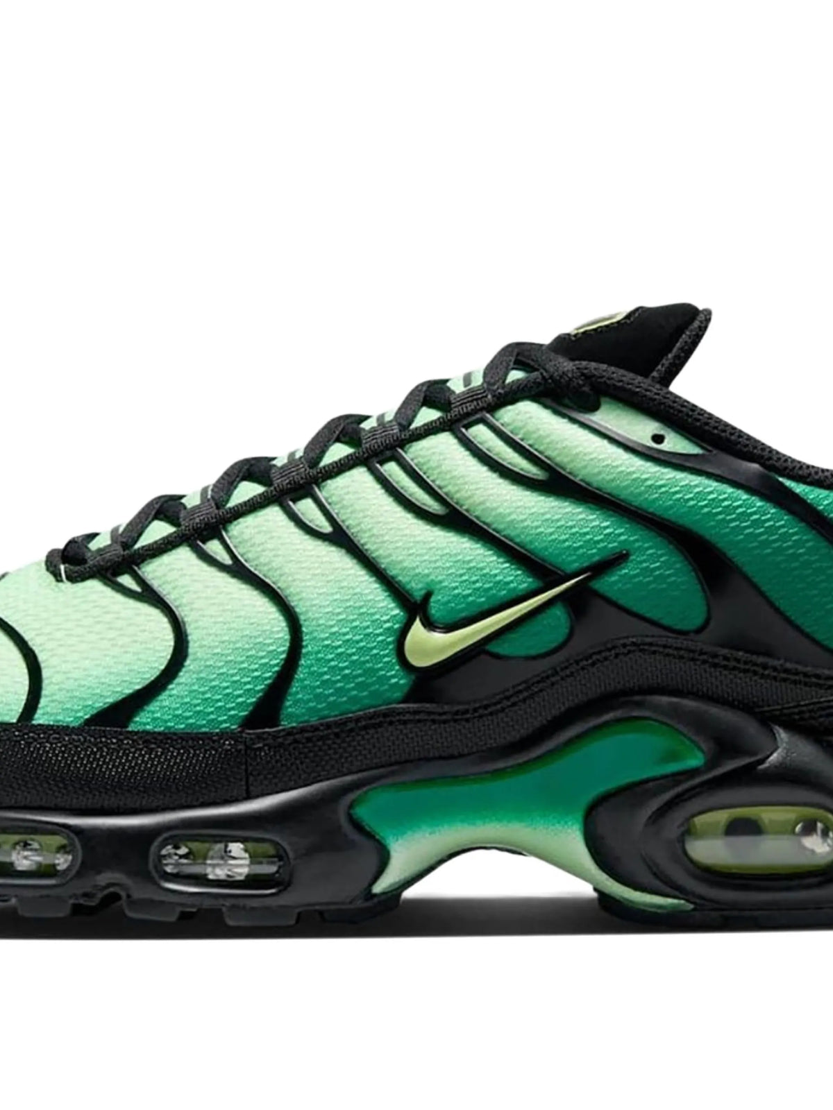 TN Green